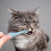 Pet Supplies Pet Toothbrush Cat and Dog Oral Cleaning Toothbrush Anti-tartar Cleaning Wear-resistant and Comfortable No Dead Angle Cleaner