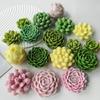 Unique DIY Molds Succulent Shape Silicone Candle Moulds for DIY Hand-Making
