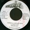 7inch Record SINGER JAY  Jamaica Land We Love NONE Supreme 1988 Jamaica Reggae Ska  Dub Used