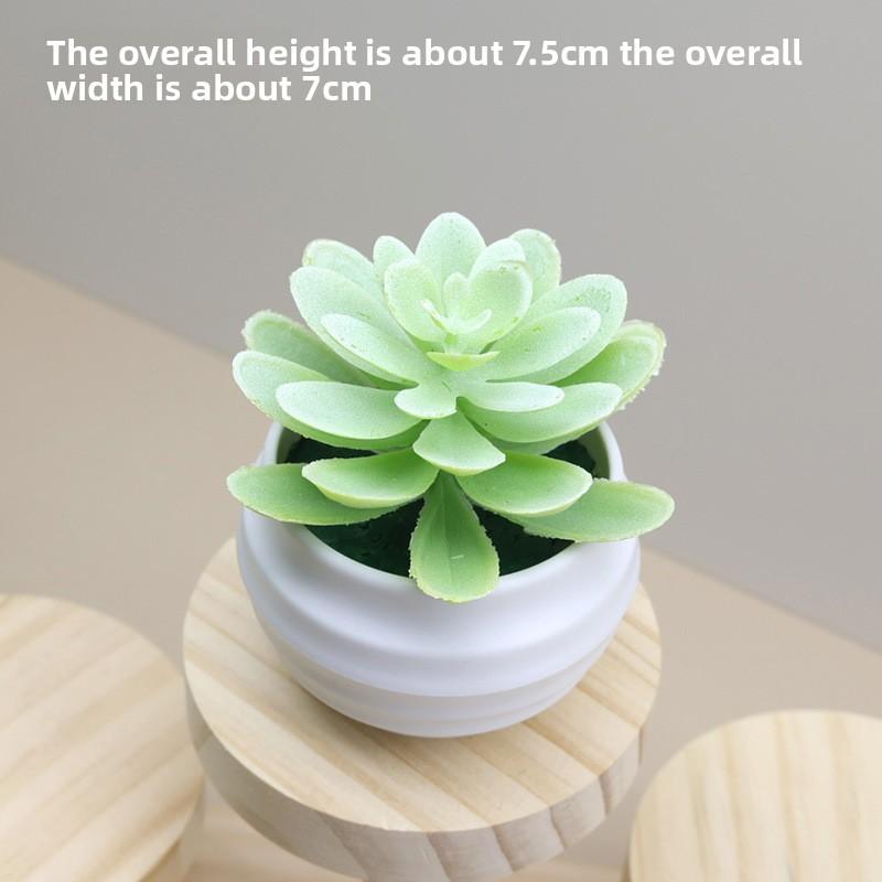 Plant Plastic Succulent Lotus Artificial Potted For Indoor Decoration And Gifts