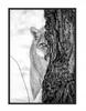 Obraz Plakat W Ramie 43x33 Cm Pantera P1149
