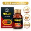 Dabur Shilajit Ayurvedic Capsules Pure Shilajit Capsules for Strength Stamina Vigour Immunity Support 30 Capsules