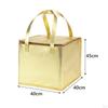 Food Delivery Bag Thermal Cake Carrying Multifunctional Travel for Frozen