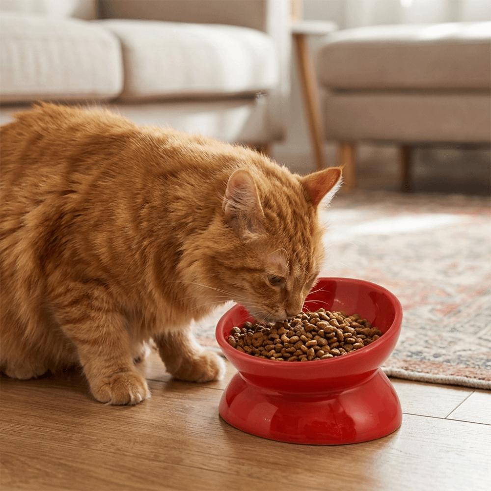 Anti Overturning Ceramic Elevated Cat Bowl Flat Bottomed Cat Feeding Bowl Cervical Protection