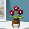 Handmade Yarn Crochet Potted Plant Craft Set Home Decoration Family Activity