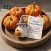 Bag Pendant Accessory Little Pocket Ghost, Halloween Handmade Wool Felted Ghost with Pumpkin, Mini Soft Felt Pet Plush Doll Inspirational Card,