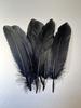 Black White Goose Feather 15-20cm White  Wedding Party Carnival Plume Decoration Jewelry Hats Diy Party Earring  Dress Crafts