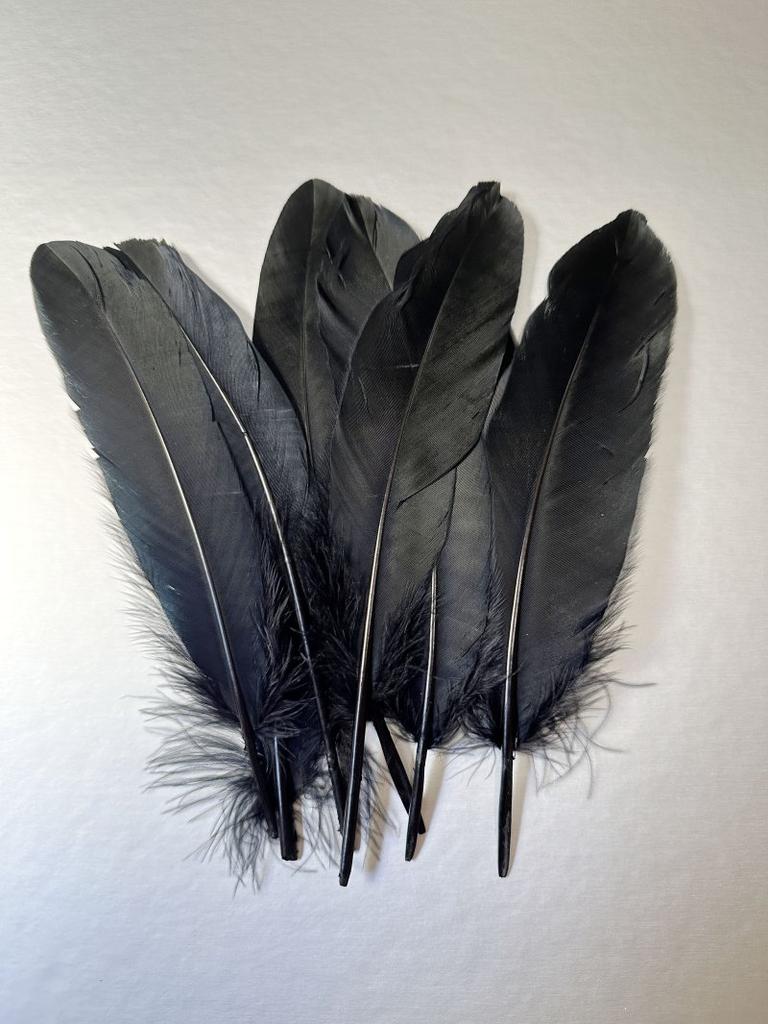 Black White Goose Feather 15-20cm White  Wedding Party Carnival Plume Decoration Jewelry Hats Diy Party Earring  Dress Crafts