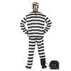 Fiestas Guirca Mens Convict Costume Set