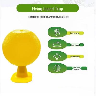 Armadilha para Moscas da Fruta e Mosquitos Domésticos: Bola Pegajosa para Insetos para Cozinhas e Espaços Pequenos