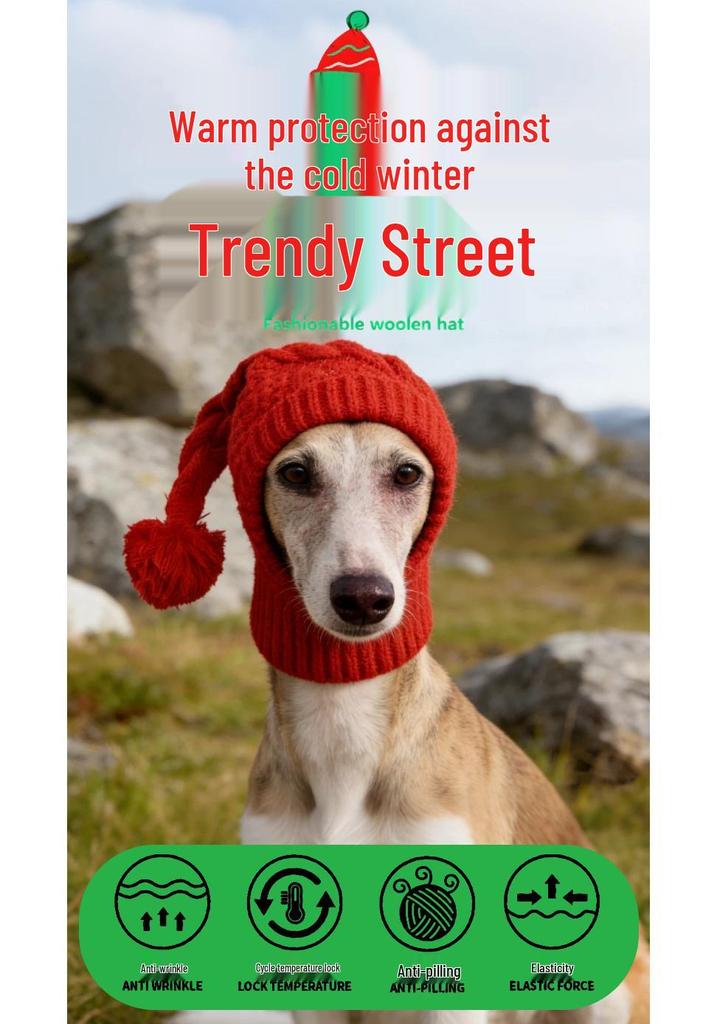 Cozy Wool Hat for Whippets & Italian Greyhounds