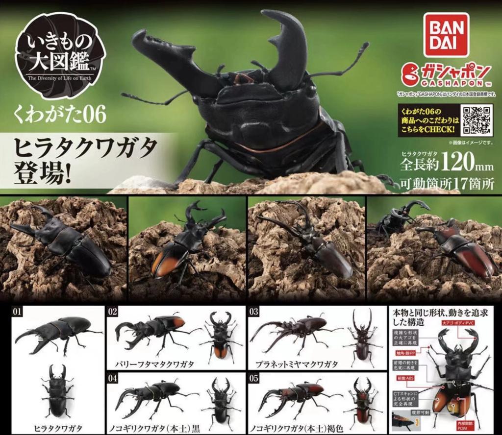Genuine Gacha Scale Model Biological Cognitive Model Antler Beetle Simulated Moving Insect Action Figure Toys