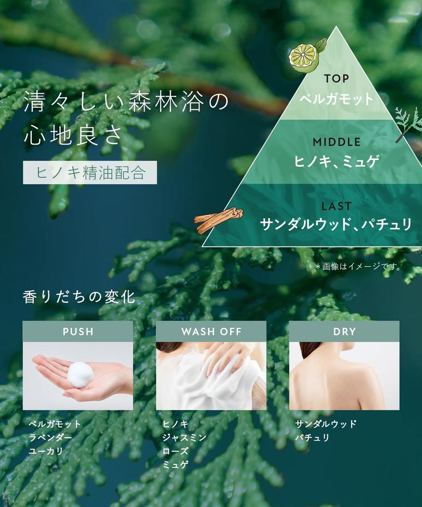 [New Model] BOTANIST Foaming Body Soap Moist