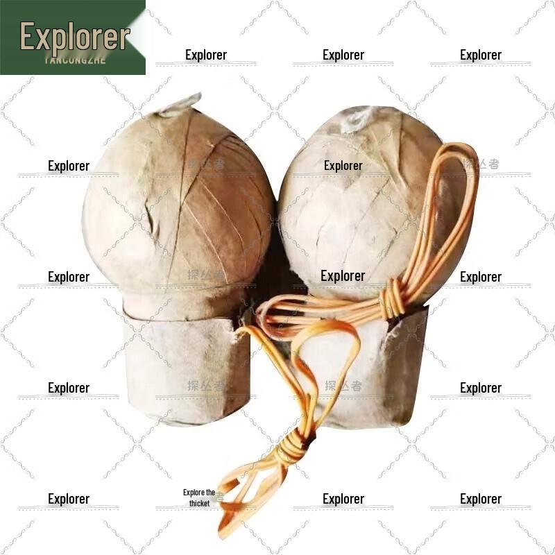 Outdoor Airport Bird Repeller