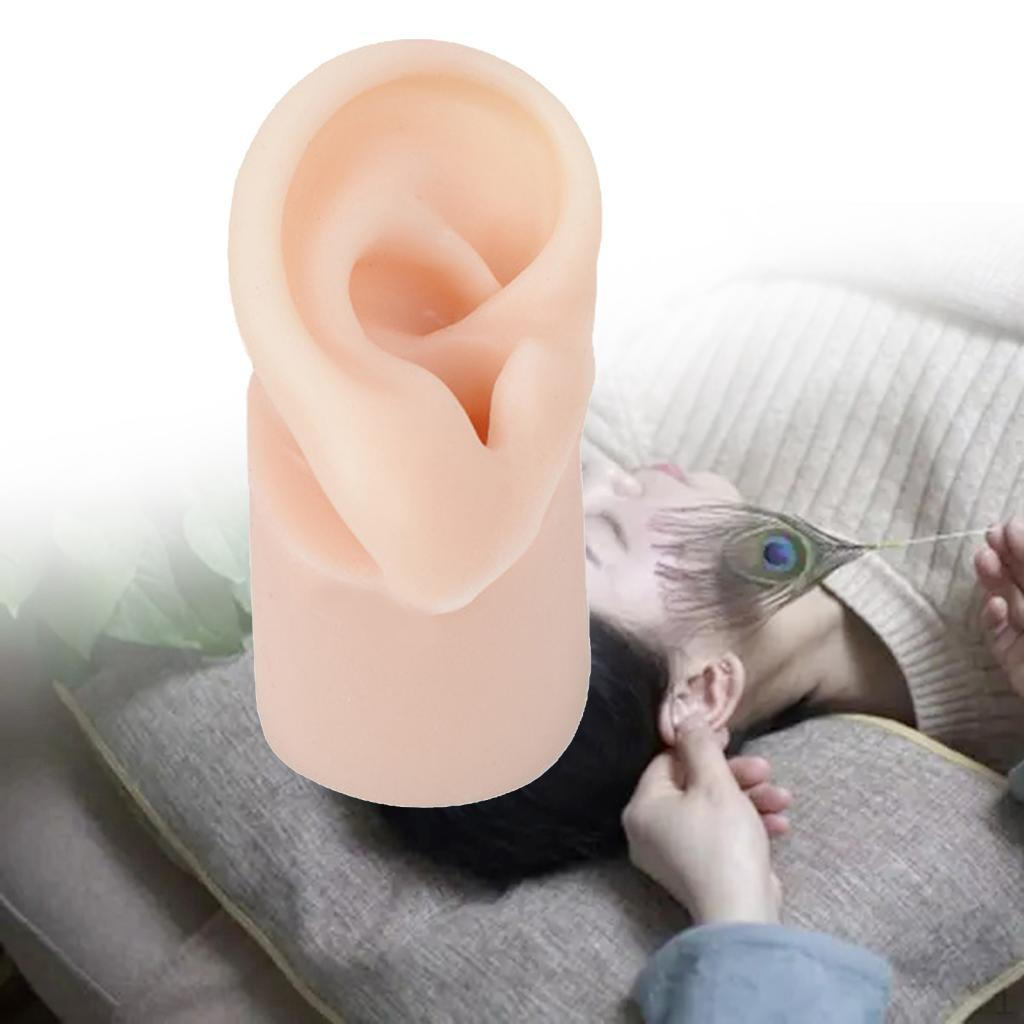 

Flexible Silicone Ear Model with Base - Enhanced Training Tool for Impression Taking Right