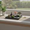 Garden Kit for Desk Meditation Desktop Sand Tray Compact Miniature Landscape