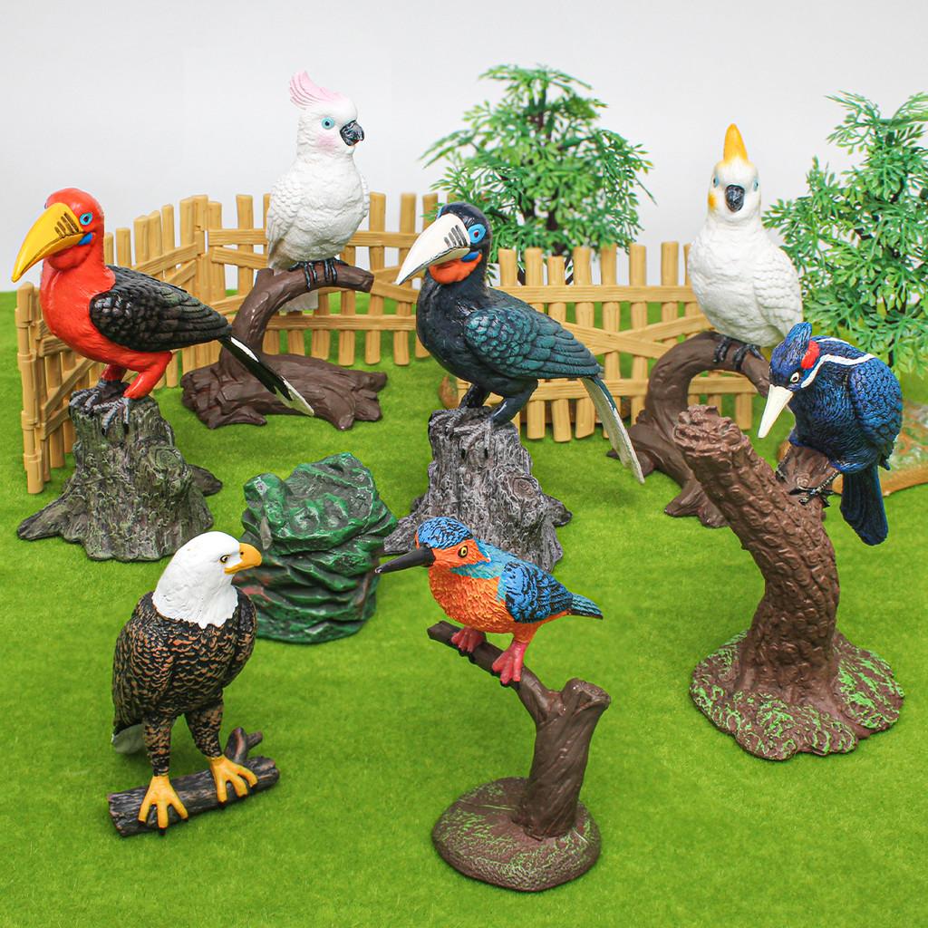 Realistic Bird Model Pvc Owls Eagles Parrots And Woodpeckers For Childrens Educational Decor