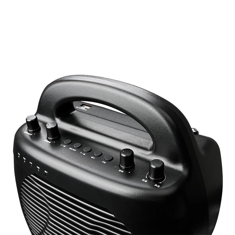 TAKSTAR E17 Portable Wireless Voice Amplifier