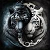 Full Square Round 5d Diy Diamond Painting Tiger Horse Embroidery Mosaic Tai Chi Animal Handmade Home Decor