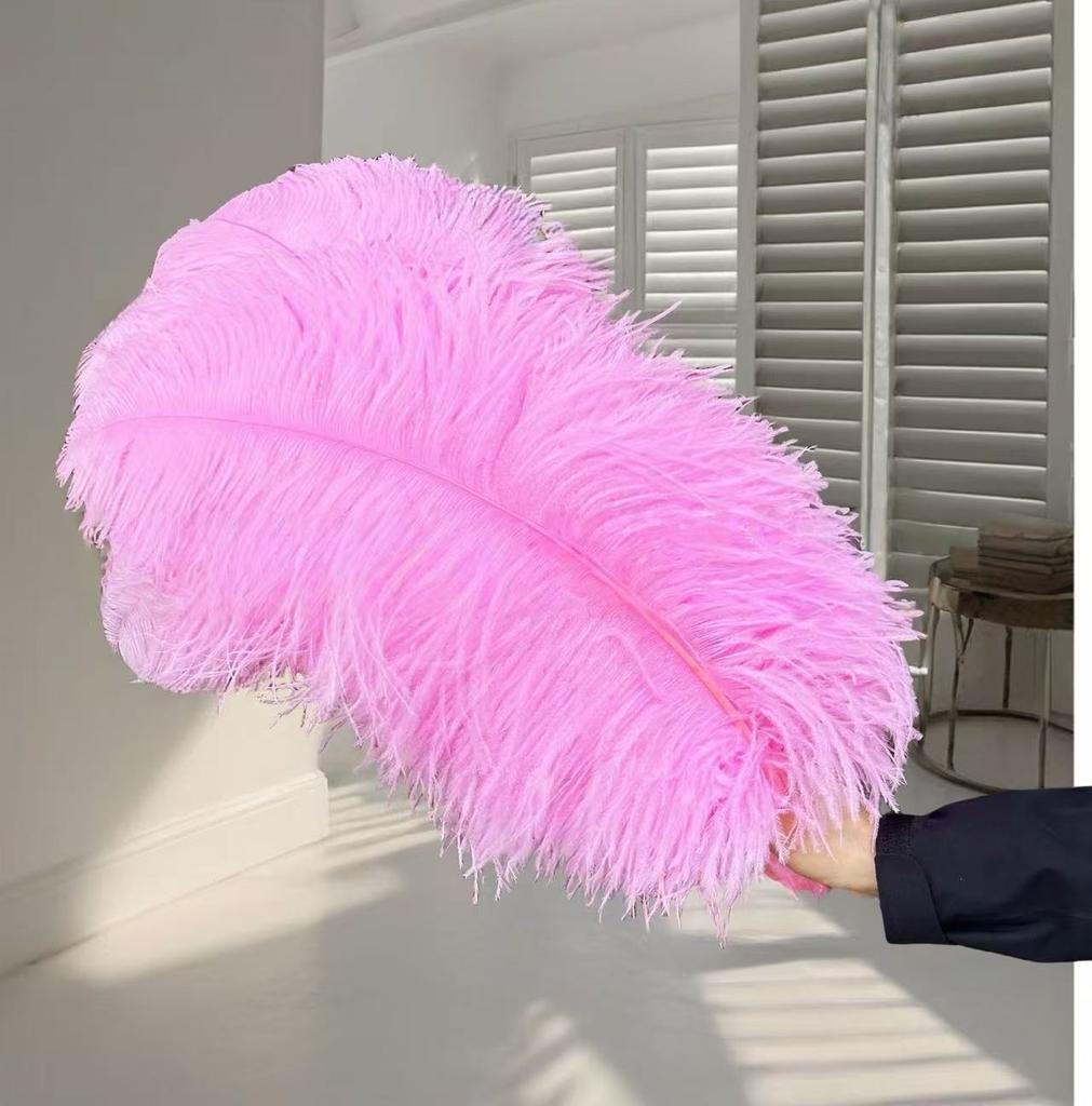 1pcs Ostrich Hair 65-70Cm Photo Feather Wall Wedding Road Guide Decorative Props Colored Feathers