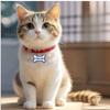 VIP Personalizável Gravado Pets ID Tag para Cão Gato Bronze Placa de Identificação Etiquetas Personalizadas Endereço Número Cães Coleira ID Pingente