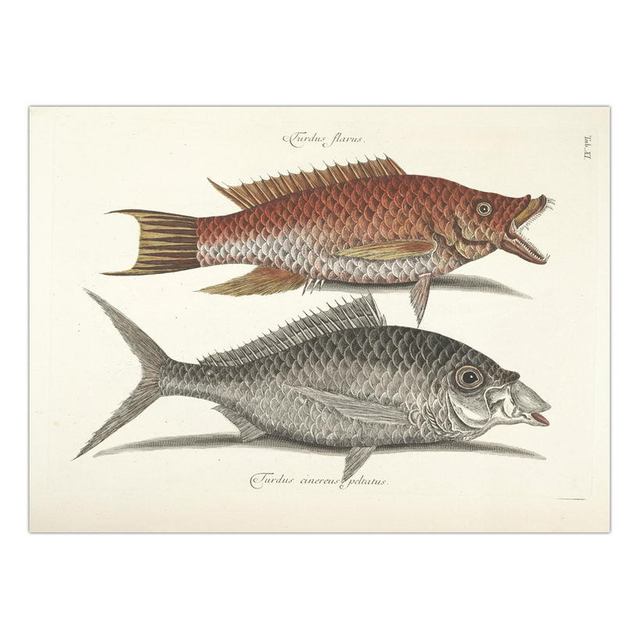 Decorative Painting Retro Fish Restaurant Hotel Paintings Animal Print Wall Pictures for Living Room Flatfish Wall Art Canvas
