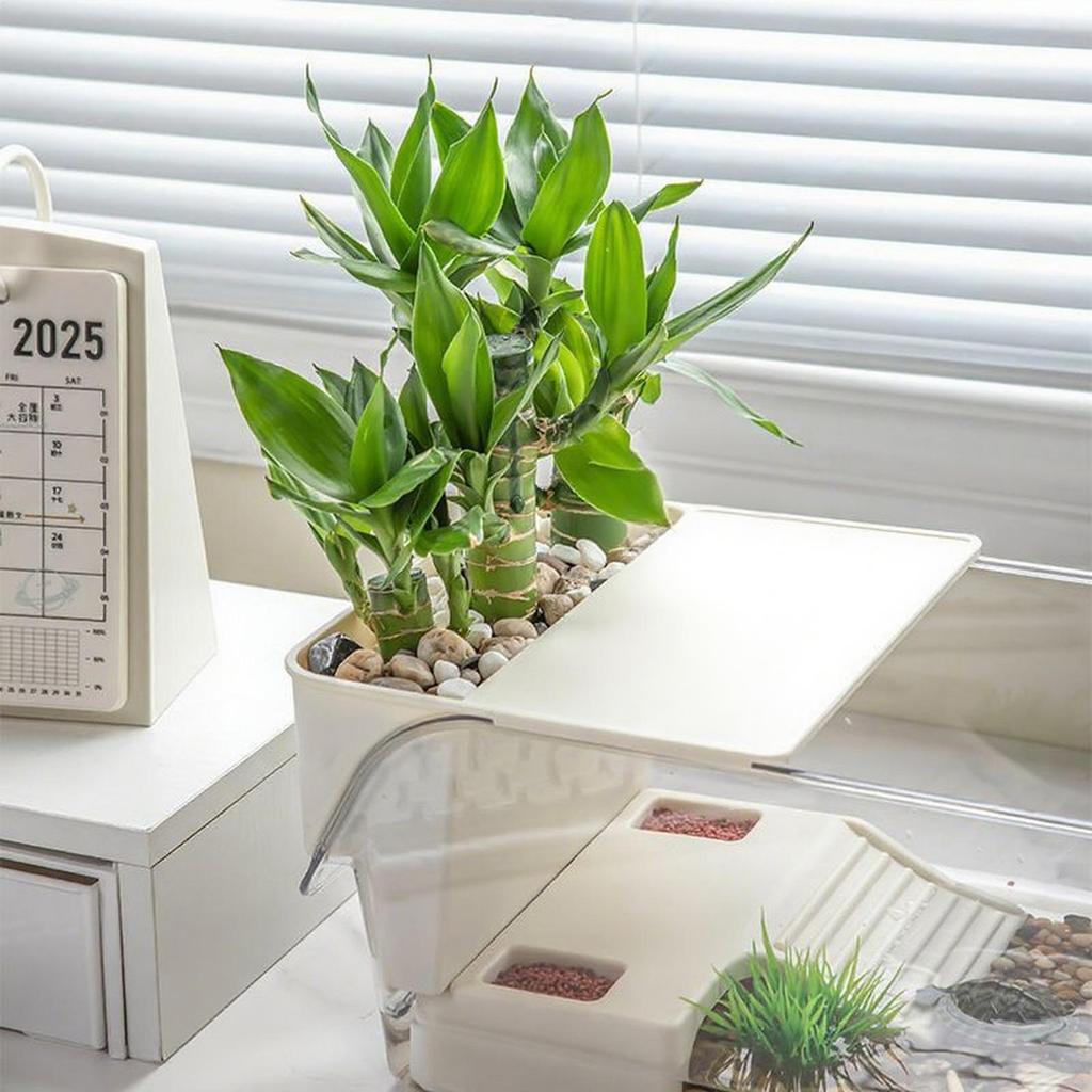 Turtle Tank Multi-functional Aquarium Transparent Terrarium With Basking Area For Reptile Feeding Tortoise Hermit Crabs Frog