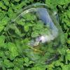 Wetterfeste Pflanzglocke mit verstellbaren oberen Belüftungsöffnungen, verdickte transparente, metallverstärkte Basis, Gartenbau-Essential