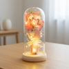 1 Rose Bouquet Dried Flowers Valentine's Day Gift Immortal Flower Glass Cover Ornament Qixi Festival LED Night Light