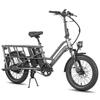 Fafrees FF20 CUV - Vélo cargo électrique - 250 W - 48 V - 24 Ah - Moyeu 20 pouces - Vitesse maximale 25 km/h - Gris