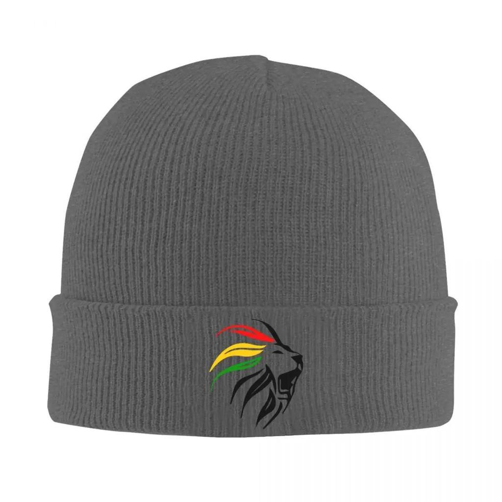 Cool Rasta Lion Of Judah Art Dreadlock Rastafari Knit Hat Beanie Autumn Winter Hats Warm Hip-hop Caps for Men Women