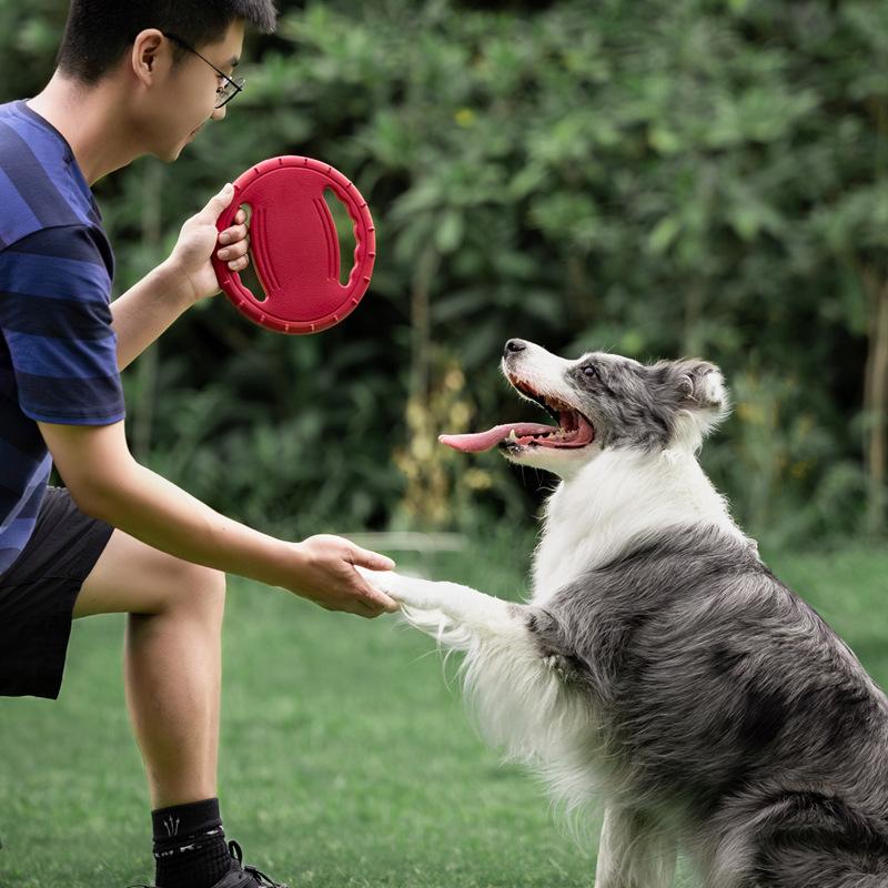 Dog Flying Discs Frisbe E Game for Dog Toys for Puppies Large Interactive Toys Resistant Dog Toy GWJ09