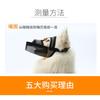Adjustable Dog Muzzle Small To Medium Breeds Breathable Fabric Snout Cover Prevent Barking Biting Ingesting Objects