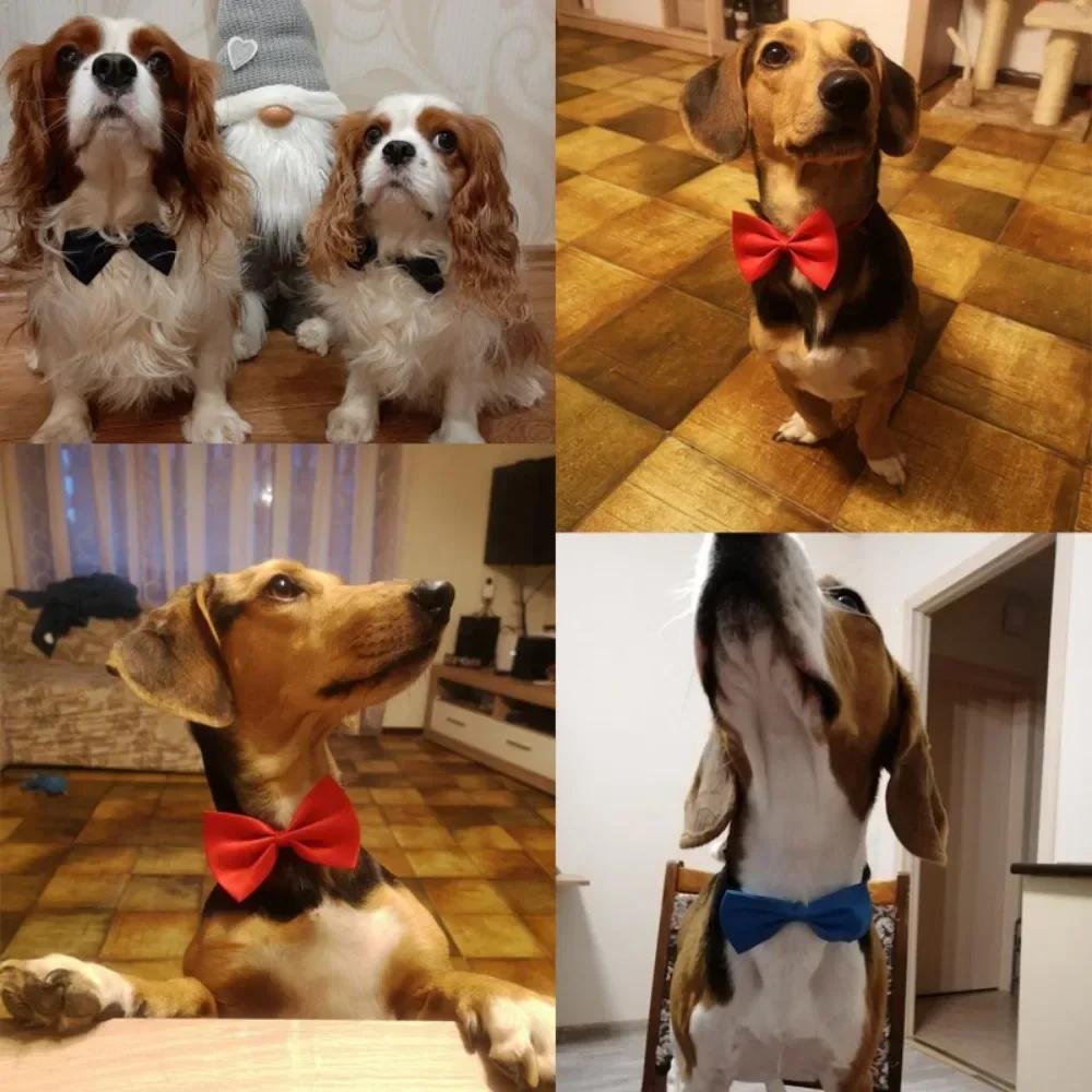 Cute 1 piece Cute Solid Color Adjustable Pet Bow Tie Pet Dog Collar Bowknot Bow Ties Gentleman Dog Bow Tie Pet Supply