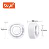 Graffiti Smart WiFi Smoke Detector - Wireless Fire Sensor with Remote Access