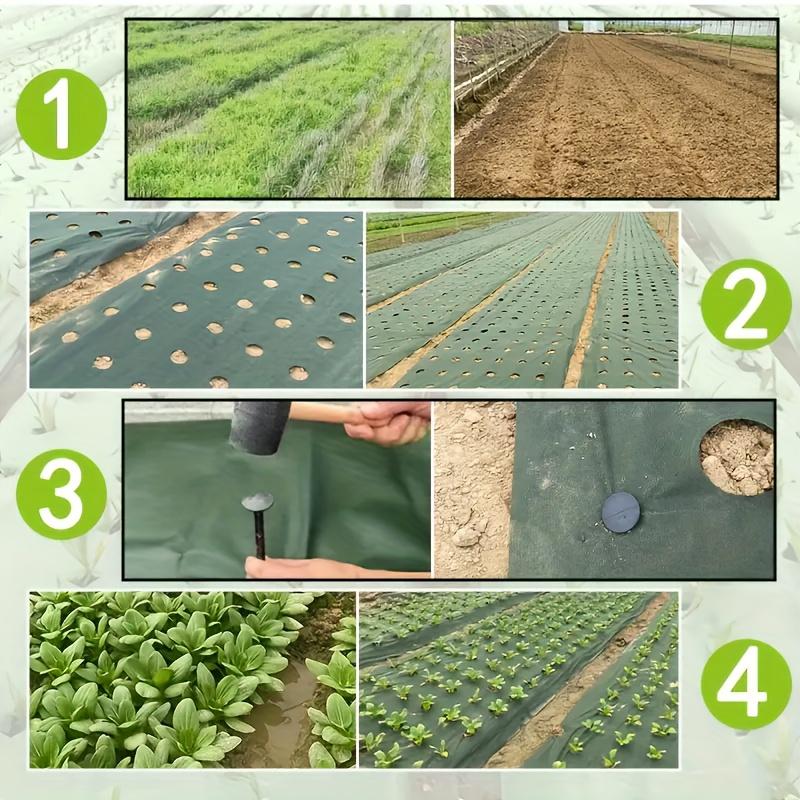 Tejido Perforado Resistente para Barrera de Malezas Ideal para Jardín, Huerto, Frutal y Patio - Suprime las Malezas, Transpirable, Permeable al Agua