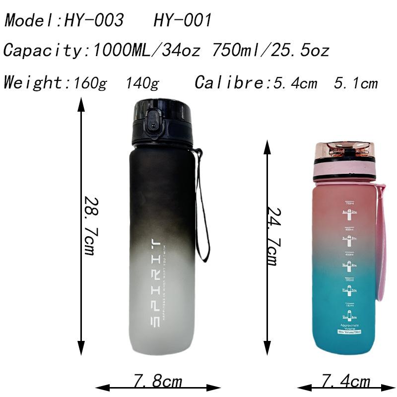 Large Capacity Frosted Gradient Plastic Water Bottle with High Aesthetic Value, Outdoor Sports and Fitness Water Bottle, Direct