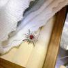 Natural Transparent Crystal Garnet Pendant Necklace - Japanese Korean Style