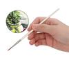12PCs Nylon Brush Drawing Pen Art Supplies Painting Tool White Wooden Rod for Craft Collection