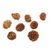 1-18CM Pine Cone Christmas Decorations: Creative Figurines & Photography Props