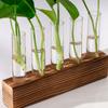 Transparent Glass Hydroponic Plants Container Wooden Stand Glass Tube Vases  Weddings