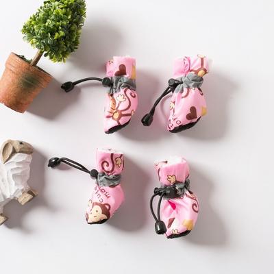 Ropa y calzado – Zapatos para perros