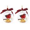 Nature's Birds Ball Ornament 3D Animal Clear Plastic Ball Decoration Christmas Tree Memorial Gift for Bird Lovers