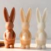 DIY Easter Bunny Egg Silicone Candle Mold Handmade Aroma Gypsum Epoxy Resin Form Mold Soap Candle Making Supplies