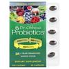 Dr. Ohhira's Probiotics Original Formula Capsules 60 Count