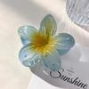 Plumeria Women's High-End Hair Clip: 2024 Large Shark Hairpin for Back of Head