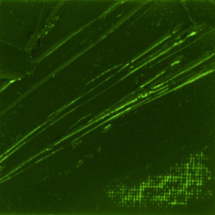 Oil Paint - Pébéo - 200044 - Terre Verte - 200 Ml - Dries Quickly 3-6 Days