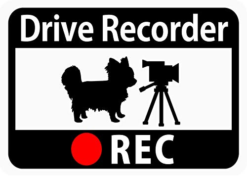 

Наклейка на видеорегистратор «Чихуахуа и видеокамера» (магнит) с32