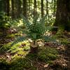 Real Touch Fake Fern Plant 16 Leaves Fake Boston Fern Leaves Durable Faux Plants Shrubs  Hotel