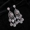 Silver Needle Rhinestone Tassel Stud Earrings: Elegant Niche Design with Water Drop for Women